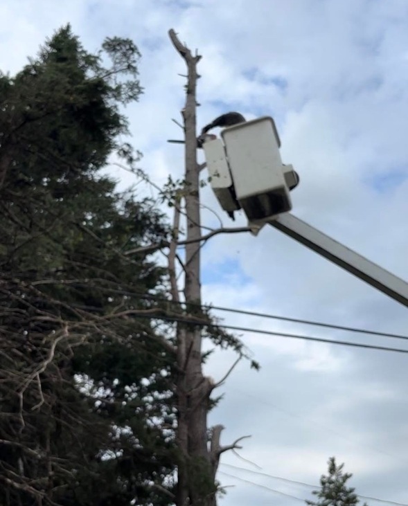 bucket truck services