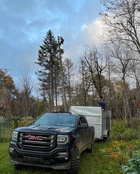 garbage removal service